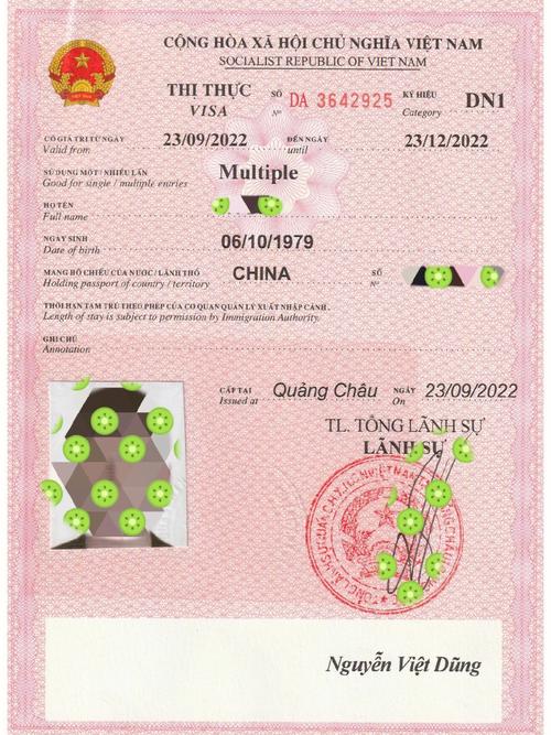 越南为什么另纸签证？越南是什么签证类型？